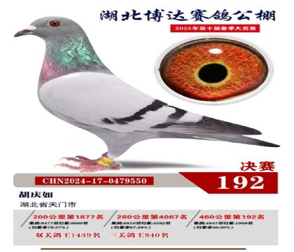 博達(dá)春棚決賽192名