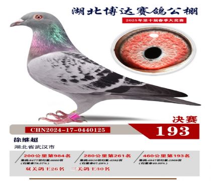 博達(dá)春棚決賽193名