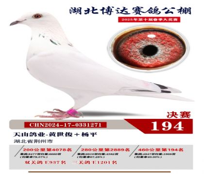 博達(dá)春棚決賽194名