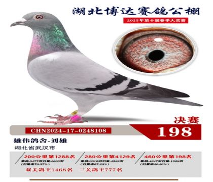 博達(dá)春棚決賽198名