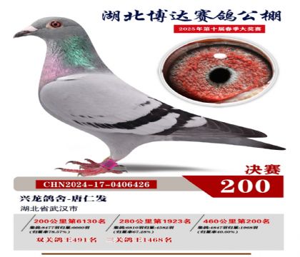 博達(dá)春棚決賽200名
