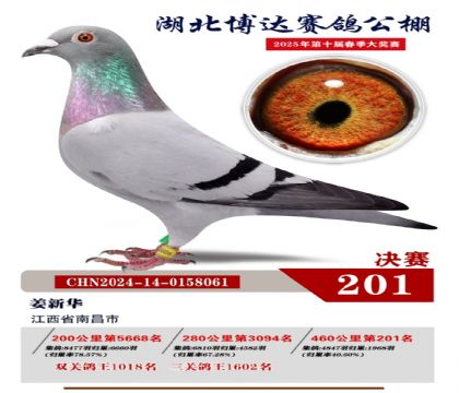 _Qِ201