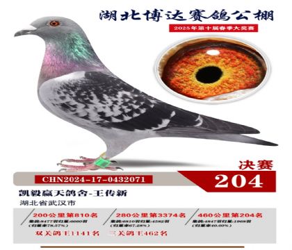 _(d)Qِ204