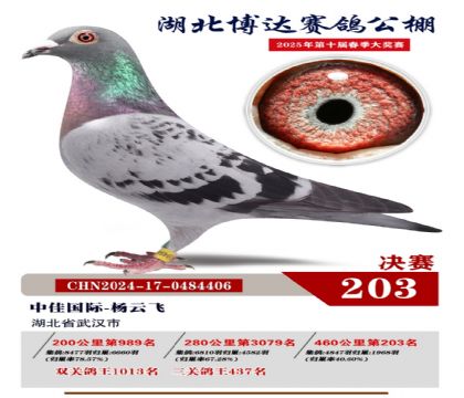 _Qِ203