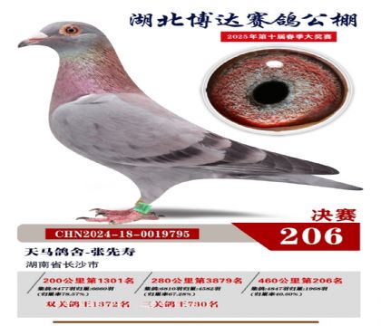 _(d)Qِ206