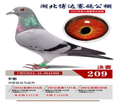 _(d)Qِ209