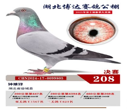 _(d)Qِ208