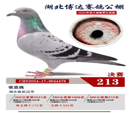 _(d)Qِ213