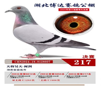 _(d)Qِ217
