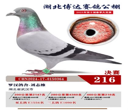 _(d)Qِ216