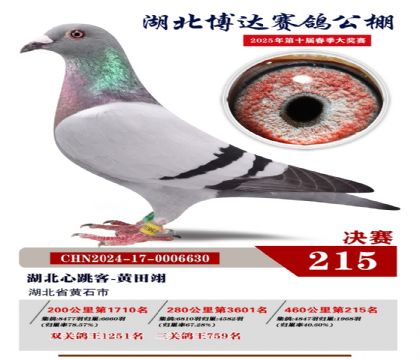 _(d)Qِ215