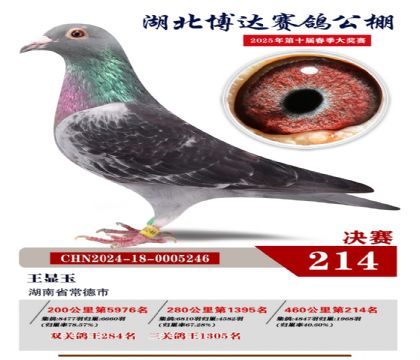 博達春棚決賽214名