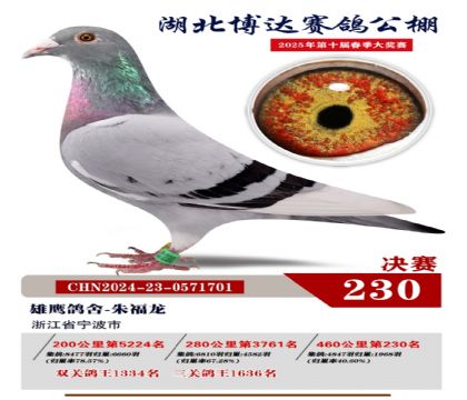 _Qِ230