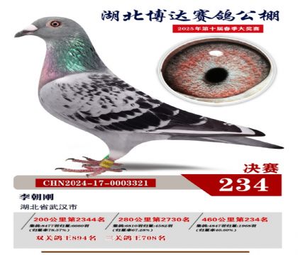 _(d)Qِ234
