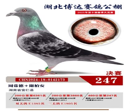 _(d)Qِ247