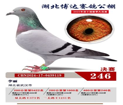 _(d)Qِ246