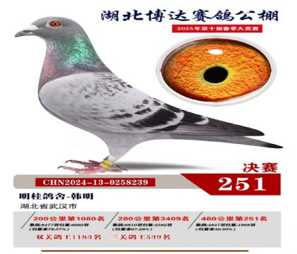 _Qِ251
