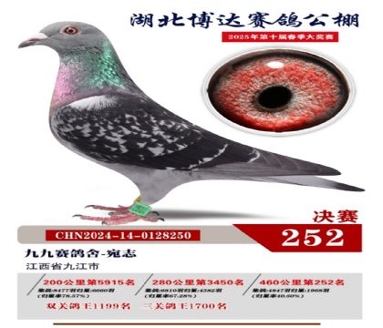 _(d)Qِ252