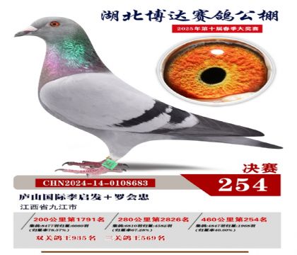 _Qِ254