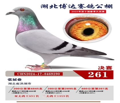 _Qِ261