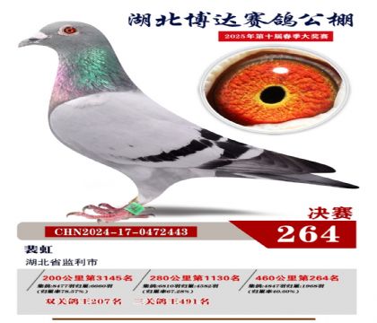 _(d)Qِ264