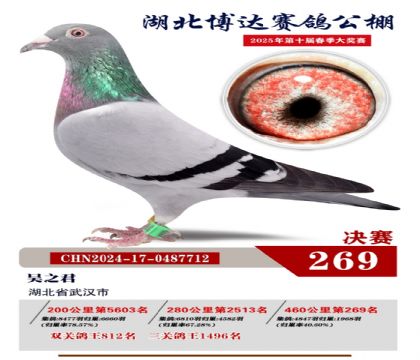 _(d)Qِ269