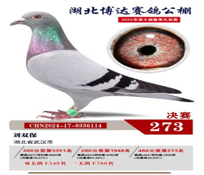 _(d)Qِ273