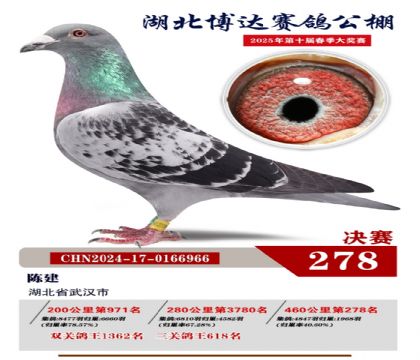 _(d)Qِ278