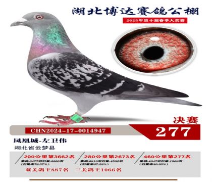 _(d)Qِ277
