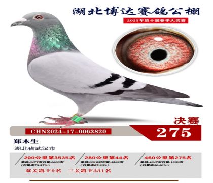 _(d)Qِ275
