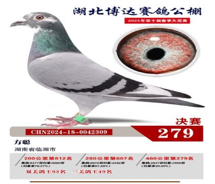 _(d)Qِ279