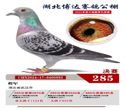 _(d)Qِ285