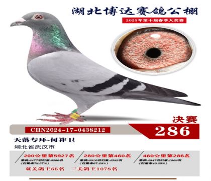 _(d)Qِ286