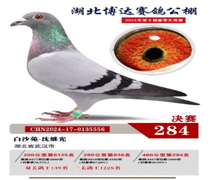 _Qِ284