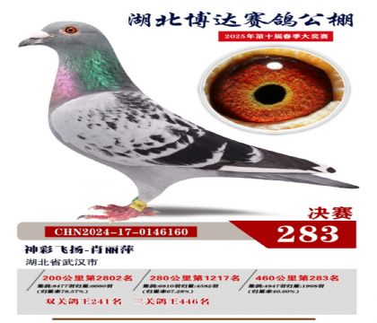 _(d)Qِ283