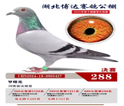 _(d)Qِ288