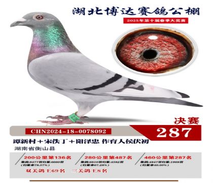 _(d)Qِ287
