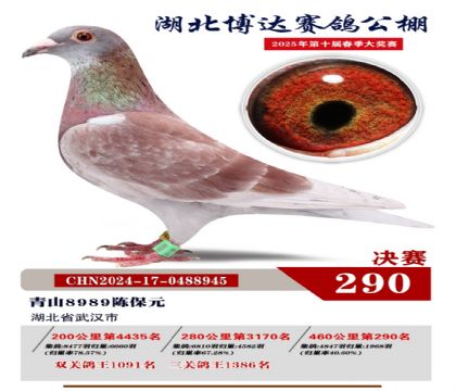 _(d)Qِ290
