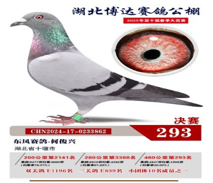_(d)Qِ293
