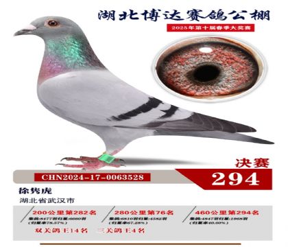 _(d)Qِ294
