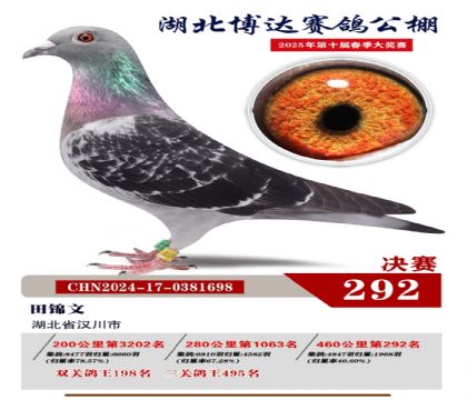 _(d)Qِ292