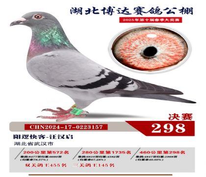 _(d)Qِ298