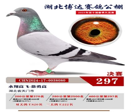 _(d)Qِ297