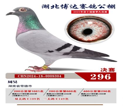 _Qِ296