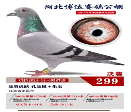 _Qِ299