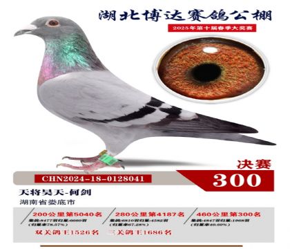 博達春棚決賽300名