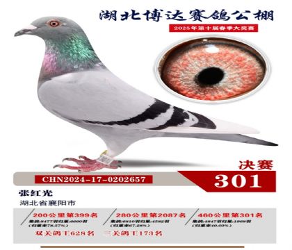 博達春棚決賽301名