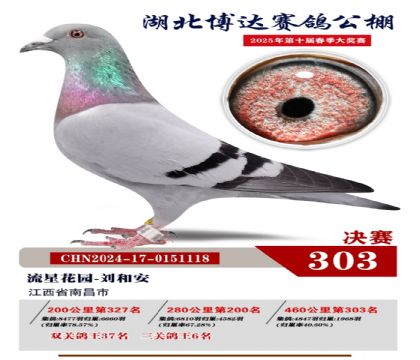 博達春棚決賽303名