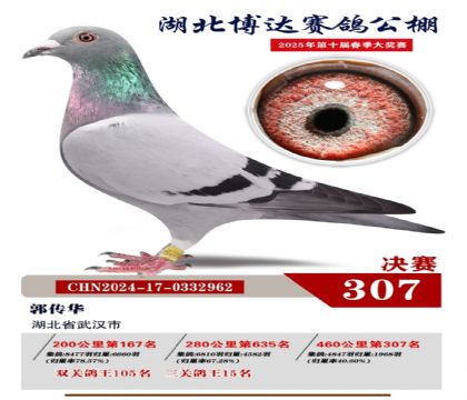 博達春棚決賽307名