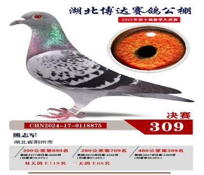 博達春棚決賽309名